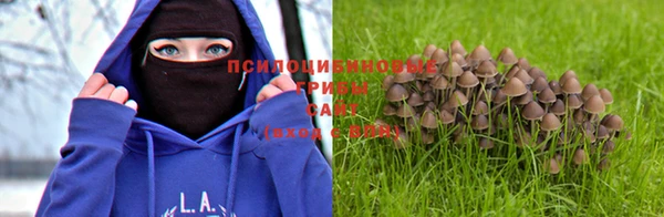 кокаин перу Белокуриха